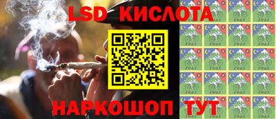 дмт Сланцы