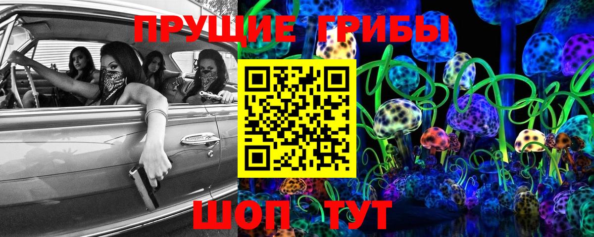 Псилоцибиновые грибы ЛСД  где купить наркотик  Вход с VPN  Острогожск  Псилоцибиновые грибы мицелий 